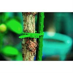 GTT-25 GREEN APPLE Подвязка регулируемая 100шт. 17см (160/2560)