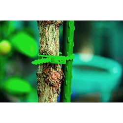 GTT-26 GREEN APPLE Подвязка регулируемая 13см (160/4000)