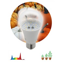 Фитолампа для растений светодиодная ЭРА FITO-11W-Ra90-E 27 полного спектра new 11 Вт Е27 Под заказ - фото 31110