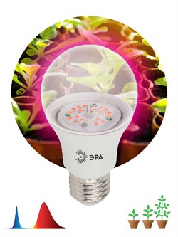 Фитолампа для растений светодиодная ЭРА FITO-10W-RB-E27-K красно-синего спектра 10 Вт Е27 Под заказ - фото 32046