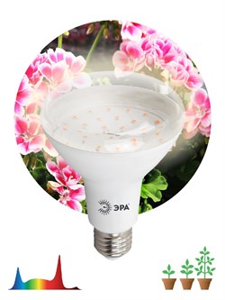 Фитолампа для растений светодиодная ЭРА FITO-15W-Ra90-E27 полного спектра 15 Вт Е27 Под заказ