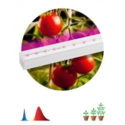 Светильникдлярастений,фитолампасветодиоднаялинейнаяЭРАFITO-14W-Т5-Nкрасно-синегоспектра14В Под заказ