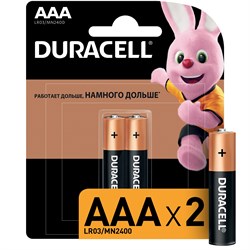 Duracell LR03-2BL BASIC CN (2шт/уп)