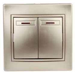 1-105-04 Intro Выключатель двойной с подсветкой, 10АХ-250В, СУ, Plano, шампань - фото 36719