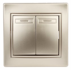 1-104-04 Intro Выключатель двойной, 10А-250В, IP20, СУ, Plano, шампань - фото 38754