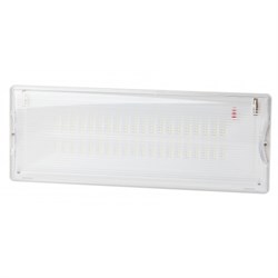 DPA-301-0-65 ЭРА Светильник светодиодный аварийный непостоянный 40LED 3ч IP65	Под заказ