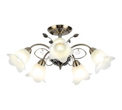 2031-305 Rivoli Люстра Giardino S5 AB 5xE14 40W - фото 41579