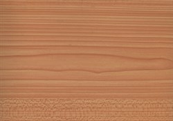 W0124 D&B 45 см/8м дерево светлое - фото 8290