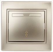 1-103-04 Intro Переключатель, 10А-250В, IP20, СУ, Plano, шампань Под заказ