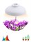 Светильник для растений ЭРА FITO-12W-FLED штыковой полного спектра 12 Вт - фото 34416