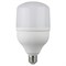 Лампа светодиодная  ЭРА LED smd POWER- 20w-4000-E27 (40шт/уп) - фото 38918