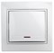 1-102-01 Intro Выключатель с подсветкой, 10АХ-250В, СУ, Plano, белый - фото 40262
